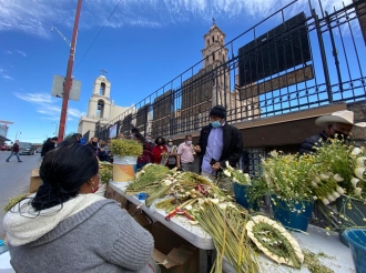 Mojigatería del Bienestar